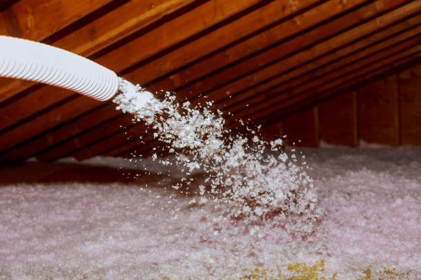 Best Cellulose Insulation in Varnell, GA