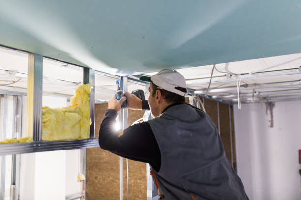 Best Geographic-Specific Insulation Services in Varnell, GA
